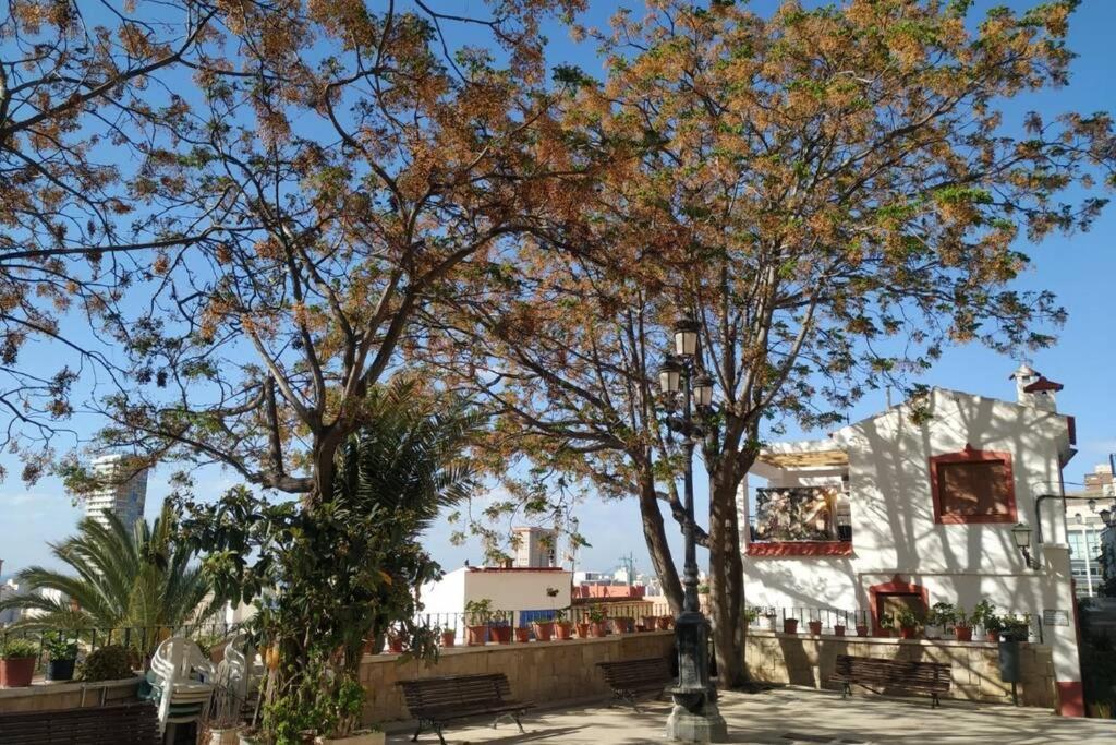 San Antonio Villa Αλικάντε Εξωτερικό φωτογραφία